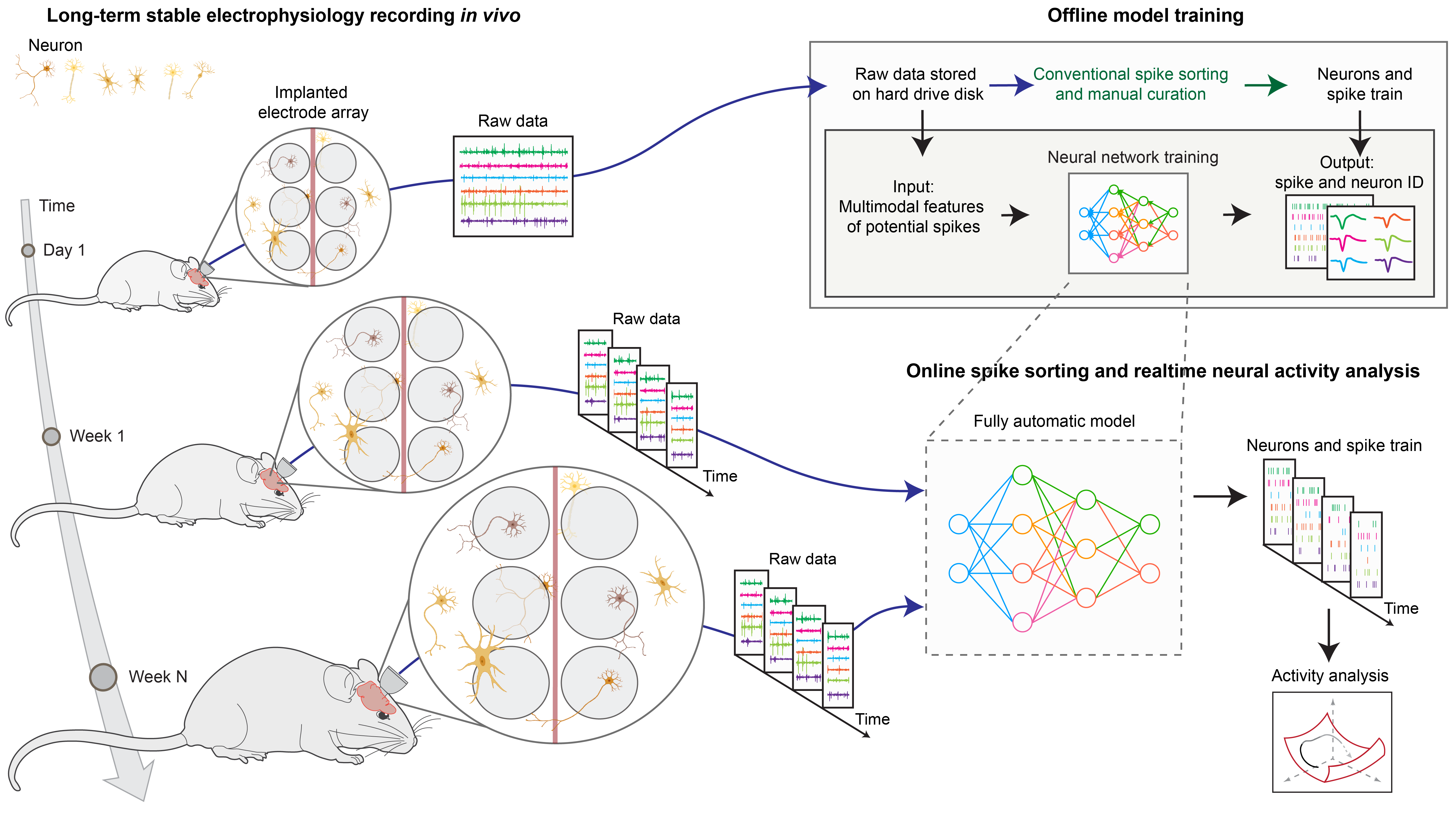 Research overview: End-to-end multimodal deep learning for real-time decoding of months-long neural activity from the same cells