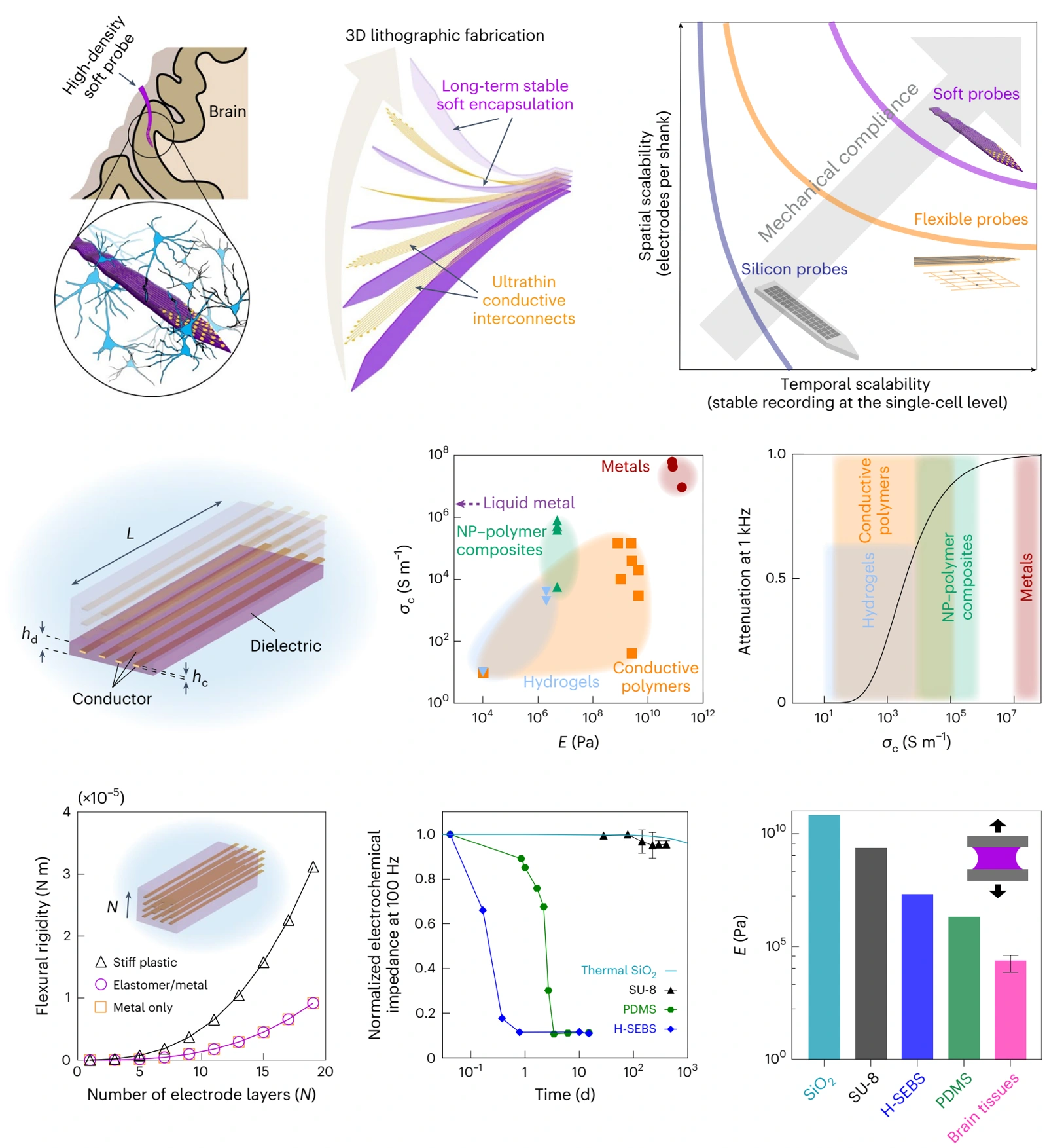 Figure 1: 3D spatiotemporally scalable in vivo neural probes based on fluorinated elastomers
