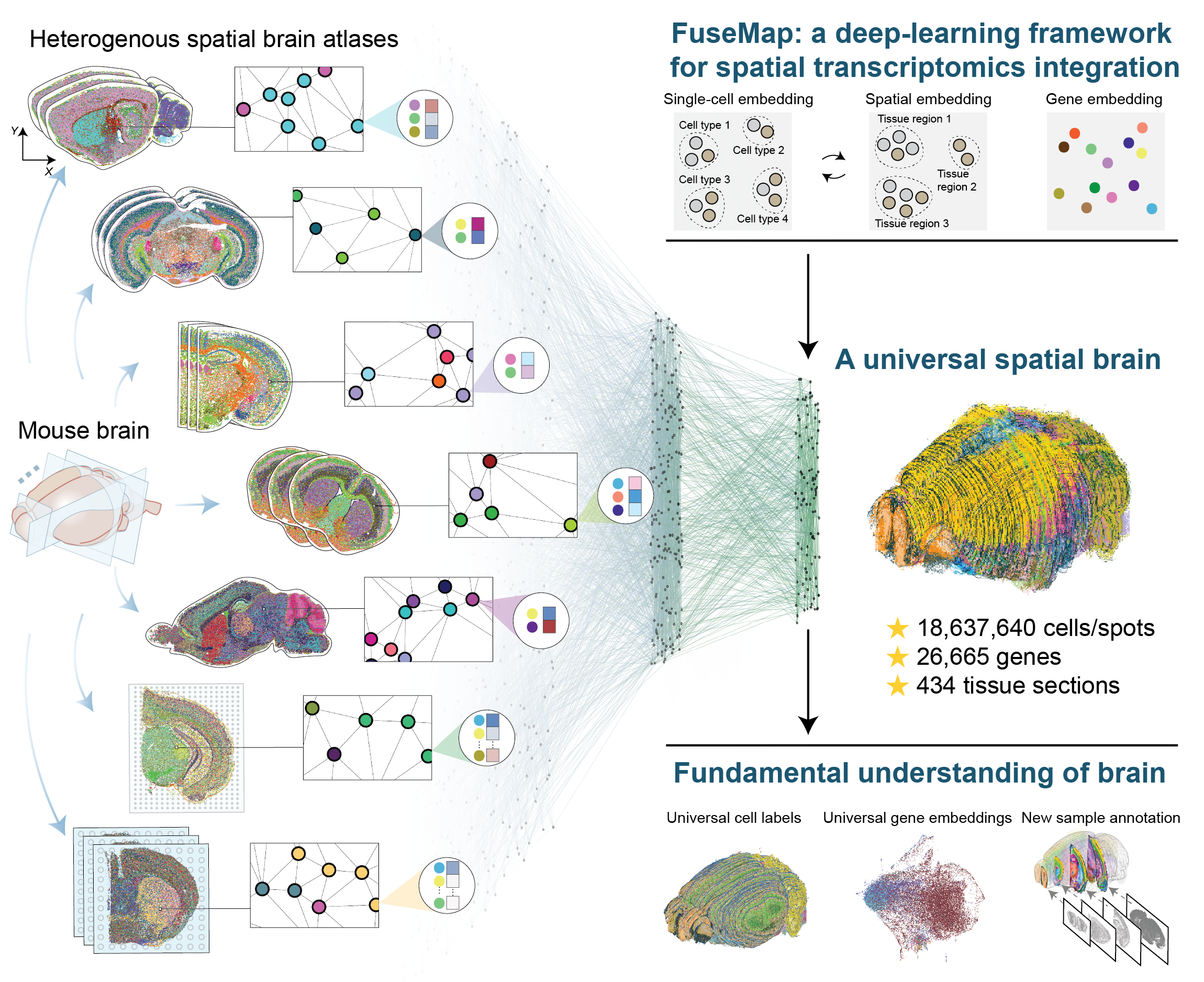 Figure 1 overview: Towards a universal spatial molecular atlas of the mouse brain