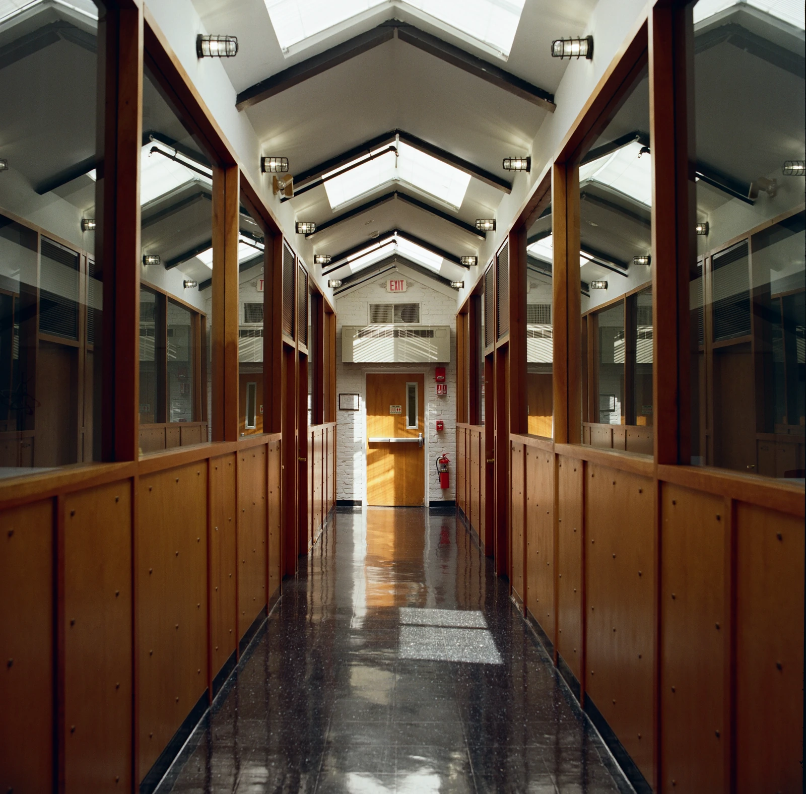 Sunlight through skylights in a wood and glass corridor with reflections on the floor.