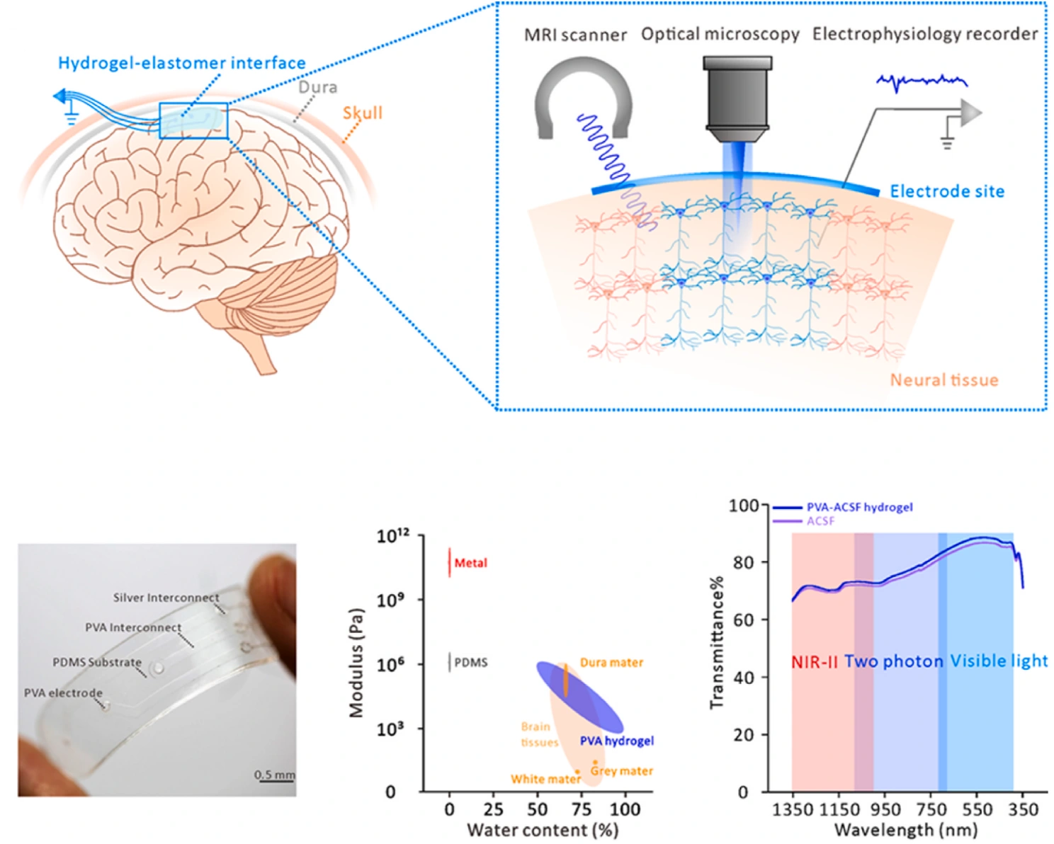 Research overview: Subdural neural interfaces for long-term electrical recording, optical microscopy and magnetic resonance imaging